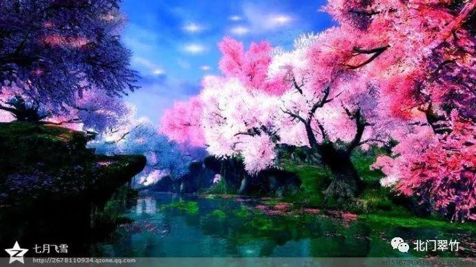 青春礼记