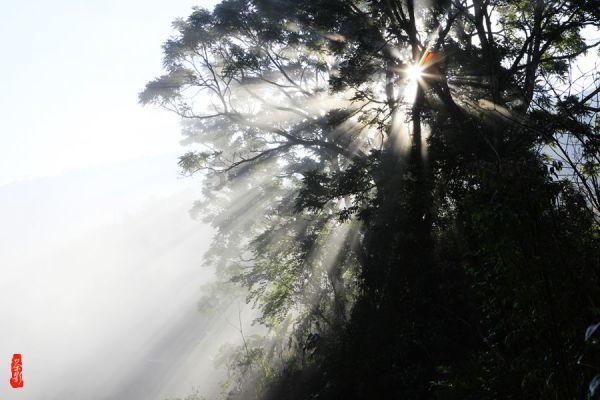 “心连心走基层、面对面解难题”活动一批先进单位和个人获表扬