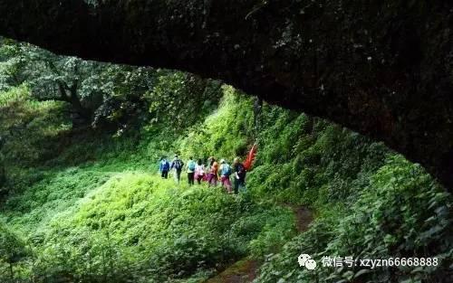 汽车大观|生而成林:新周期的沃尔沃答案